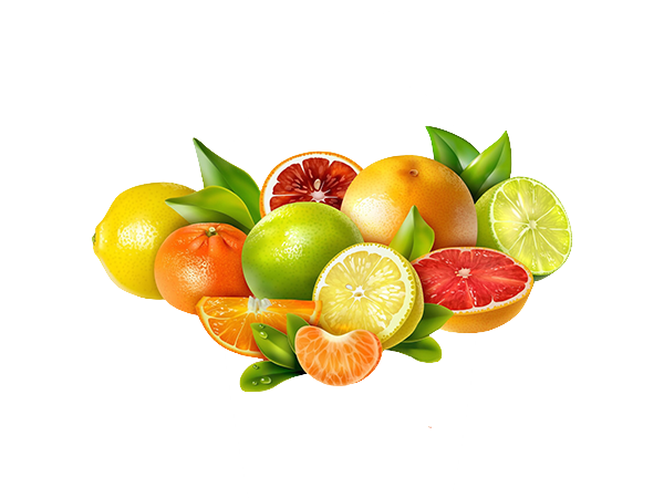 水果(標題圖檔)